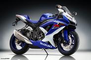 SUZUKI 600-750 GSXR K8 2008-2012 κοντέρ- πολυοργανο