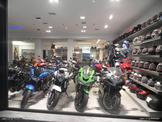 TRIUMPH TIGER 1050 ESG959 ELECTROSPORT καινουρια Πηνία/Πηνιοφόρος(Μπομπινοφορος) της Electrosport με ένα χρόνο εγγύηση